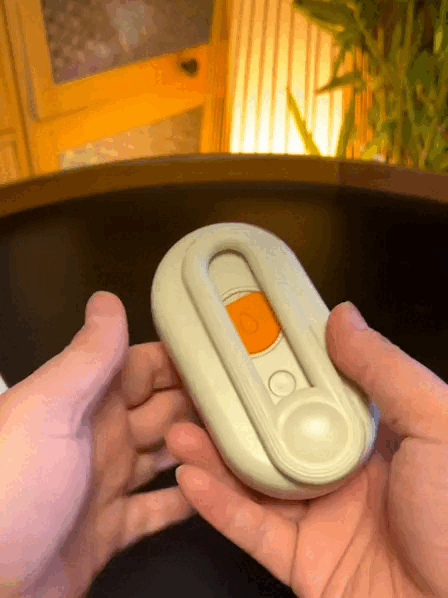 Brosse à vapeur pour chat