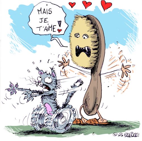 Comment brosser votre chat sans stress