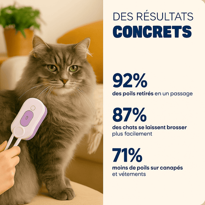 KittaClean™ Brosse à vapeur