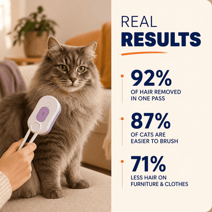KittaClean™ Steam Cat Brush