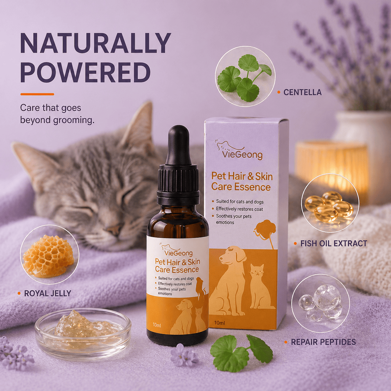 Cat Skin & Coat Serum