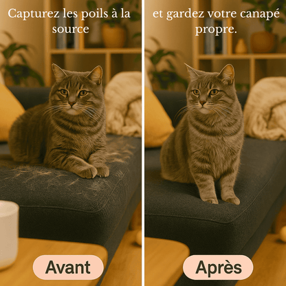 KittaClean™ Brosse à vapeur