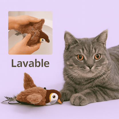 KittaFun™ Oiseau Anti-Ennui